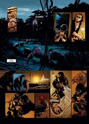 Normalement une planche extraite de cette srie devrait apparaitre ;)